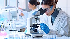 ilustra�ní snímek