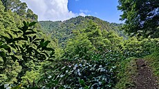 Túry nad Faial da Terra nabízí hodn silné záitky. Terén pipomíná spí divoké...