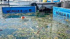 ilustra�ní snímek