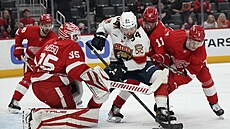 eský hokejový útoník Filip Zadina jet v dresu Detroitu
