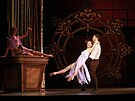 Libereck balet uvede pohdkovou inscenaci Princezna Hyacinta. Odehrv se v...