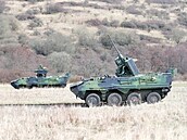 Vojenský újezd Hradit na Karlovarsku zail dalí velké vojenské cviení....