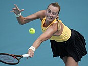 Petra Kvitová ve čtvrtfinále turnaje v Miami.