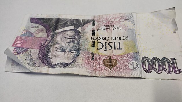 Policisté na Hodonínsku dopadli padělatele, který na domácí tiskárně vyráběl falešné bankovky.
