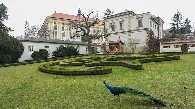 Podzmeck zahrada v Kromi (bezen 2023)