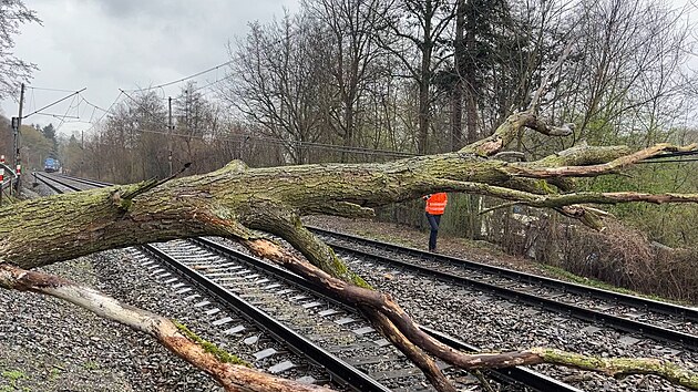 Vlak najel do vzrostlého stromu v kolejišti.