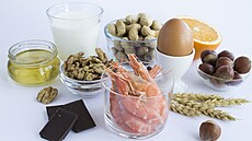 Ilustra�ní fotografie