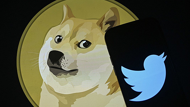 Pejsek nahradil sojku. Dogecoin po změně Twitter loga vzrostl až o čtvrtinu