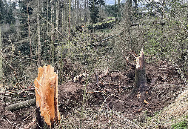 Vhodné podmínky pro vznik tornáda jsou velmi časté i v Česku, říká meteorolog