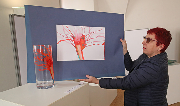 Křehké sklo zahájilo festival Další břehy, program pokračuje po celý duben