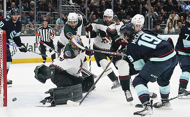 Vejmelkův plán: Medaili chci slavit na ledě. Češi vítají oporu do brány