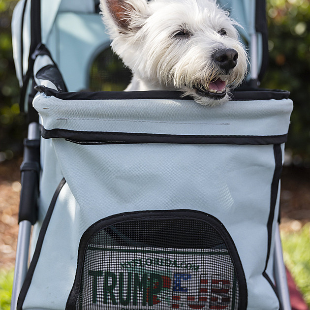 Soud s Trumpem se blíží, právníci chtějí zákaz pořizování záznamů