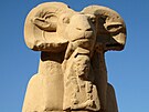 Beran byl významným egyptským symbolem.