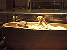 Faraonova mumie byla nalezena v Dér el-Bahrí.