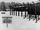 Koncentraní tábor Sachsenhausen