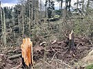 Torndo, kter v ptek veer dilo mezi Kunttem a Letovicemi na Blanensku,...