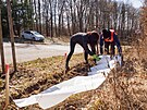 Dobrovolnci kolem cest v Moravskm krasu postavili v minulch tdnech zbrany,...