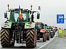Rumuntí zemdlci blokovali hranice na protest proti dovozu obilí z Ukrajiny....