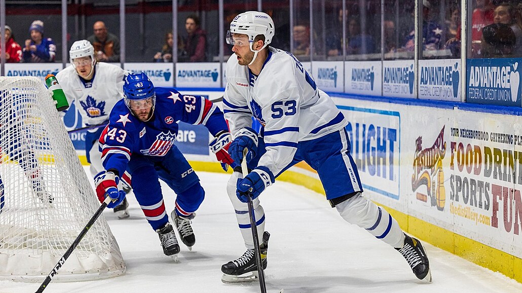 Úto�ník Radim Zohorna v dresu Toronta Marlies.