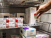 ilustra�ní snímek