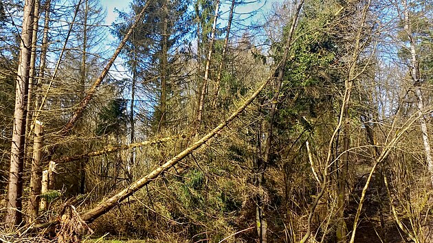 Boskovickem a Prost�jovskem se prohnalo torn�do, meteorologov� zva�uj� nasazen� dron� ke zmonitorov�n� �kod. (1. dubna 2023)