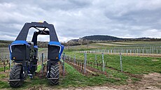 Plně autonomní stroj Bakus od firmy VitiBot pomáhá nově obdělávat vinohrady ve...