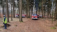 Plameny �ádily v prostoru rozhledny Vl�í hora. (4. dubna 2023)