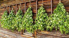 erstvé bezové proutí prý vymete nepoádek z tla i domu.