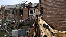 Popadané stromy, zničené vozy a domy. Takový obrázek nyní nabízí některá... | na serveru Lidovky.cz | aktuální zprávy