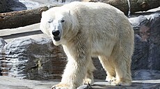 Velikonoce v pra�ské zoo. (5. dubna 2023)