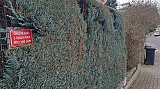 Majitelé n�kterých dom� v Liberci dávají otev�en� najevo, �e se jim...