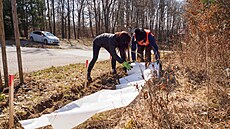 Dobrovolníci kolem cest v Moravském krasu postavili v minulých týdnech zábrany,...