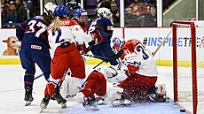 �eská branká�ka Blanka �kodová inkasuje gól v zápase s USA.