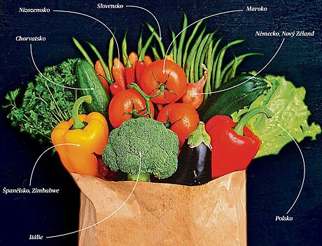 V Evrop se pstuje piblin 150 druh zeleniny, v esku 35 druh.
