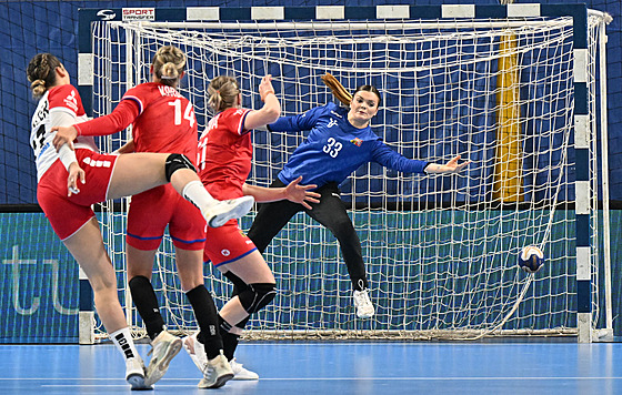 Česko - Švýcarsko, odvetné utkání play off kvalifikace mistrovství světa...