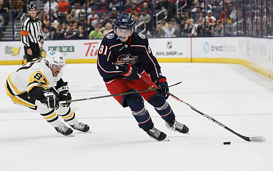 Stanislav Svozil (vpravo) z Columbus Blue Jackets útoí v zápase s Pittsburgh...