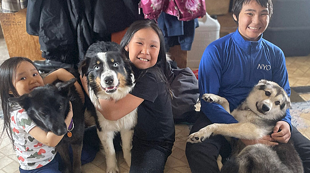 Nanuq se vrátil pokousaný. Pes z Aljašky ušel 241 kilometrů přes zamrzlé moře
