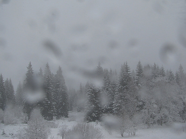 Českem se ženou vydatné deště. Intenzivně zasáhly Moravu, na Šumavě sněží