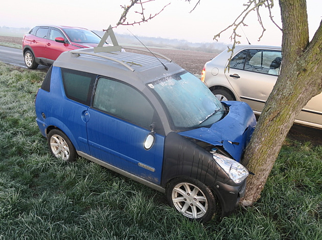 Šestnáctiletá šoférka nezvládla řízení a narazila do stromu, dostala pokutu