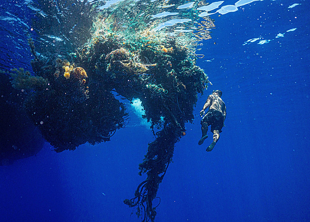 Na obří odpadkové skvrně plující Pacifikem se daří živočichům, zjistili vědci