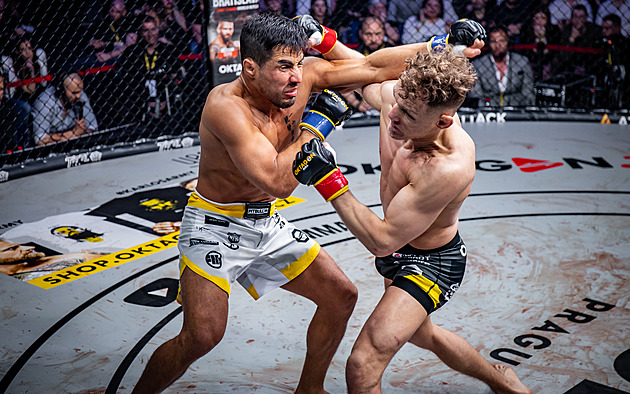 Proč hájím Palestinu. Hvězdné tváře Oktagonu se postavily proti Izraeli