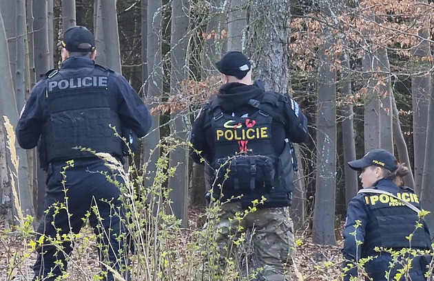 ilustra�ní snímek