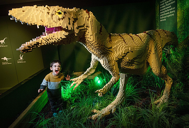 Pro děti jsou k mání hry i poučení