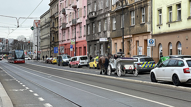 V Nuslích se splašil koňský povoz, vozka zkolaboval. Zvířata naháněla jízdní policie