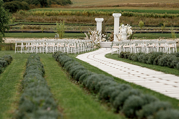 Svatební trendy letošního roku. Ohromné dorty a šaty ve stylu Grace Kelly