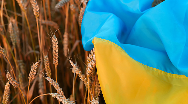 KOMENTÁŘ: Kšefty s pšenicí, které se líbí Putinovi