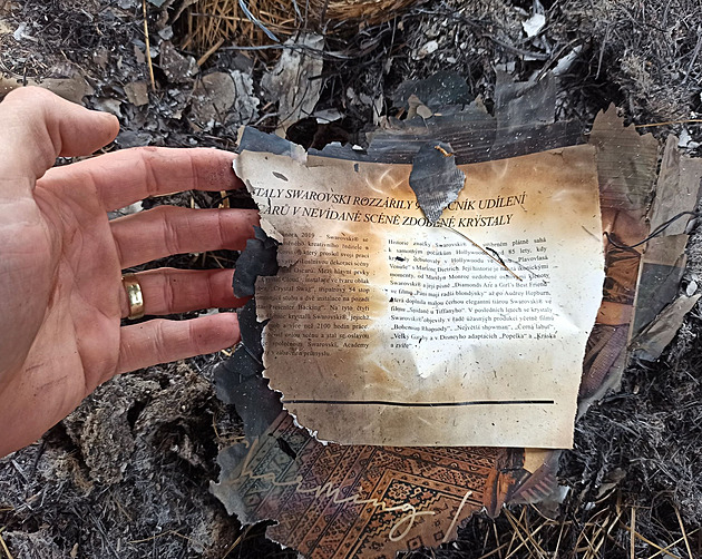 Strážce hledali kvůli požárům posedů, on šokoval: Zapálil jsem České Švýcarsko