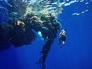 Lidé z institutu Ocean Voyages odstraují z Tichého oceánu rybáské sít a...