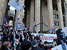 V gruzínském Tbilisi demonstrovaly proti vlád tisíce lidí