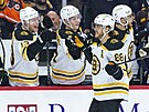 David Pastrák (88) slaví svj tetí gól v zápase se spoluhrái z Boston Bruins.